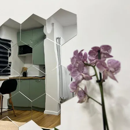 Apartment Denis *